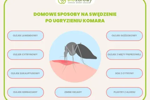 Domowe sposoby na swędzenie po ugryzieniu komara: olejki, sok z cytryny, zimne okłady i plastry z aloesu.